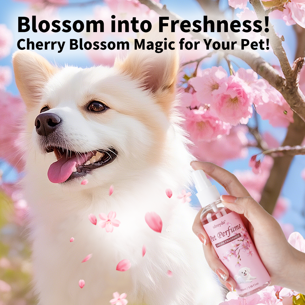 Cherry Blossom Dog Perfume Spr - đánh giá và giá Perfume Fragrance Moisturizer