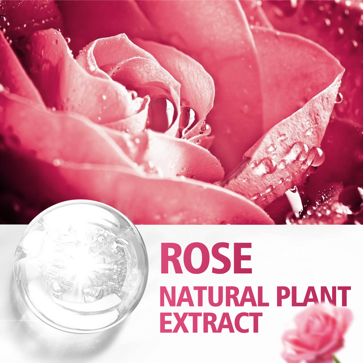 100ml/60ml/30ml rose essential - đánh giá và giá Perfume Fragrance Moisturizer
